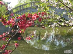 -南汇桃花村