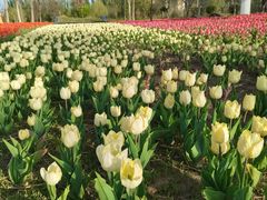 -廊坊文化艺术中心