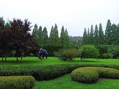 -棒棰岛宾馆景区