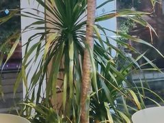 -秦美花卉(天朗·莱茵小城2期店)