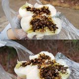 一元钱五个大大包子 便宜就算了，还那么好吃