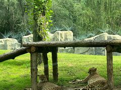 -北京野生动物园