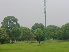 -艾溪湖湿地公园