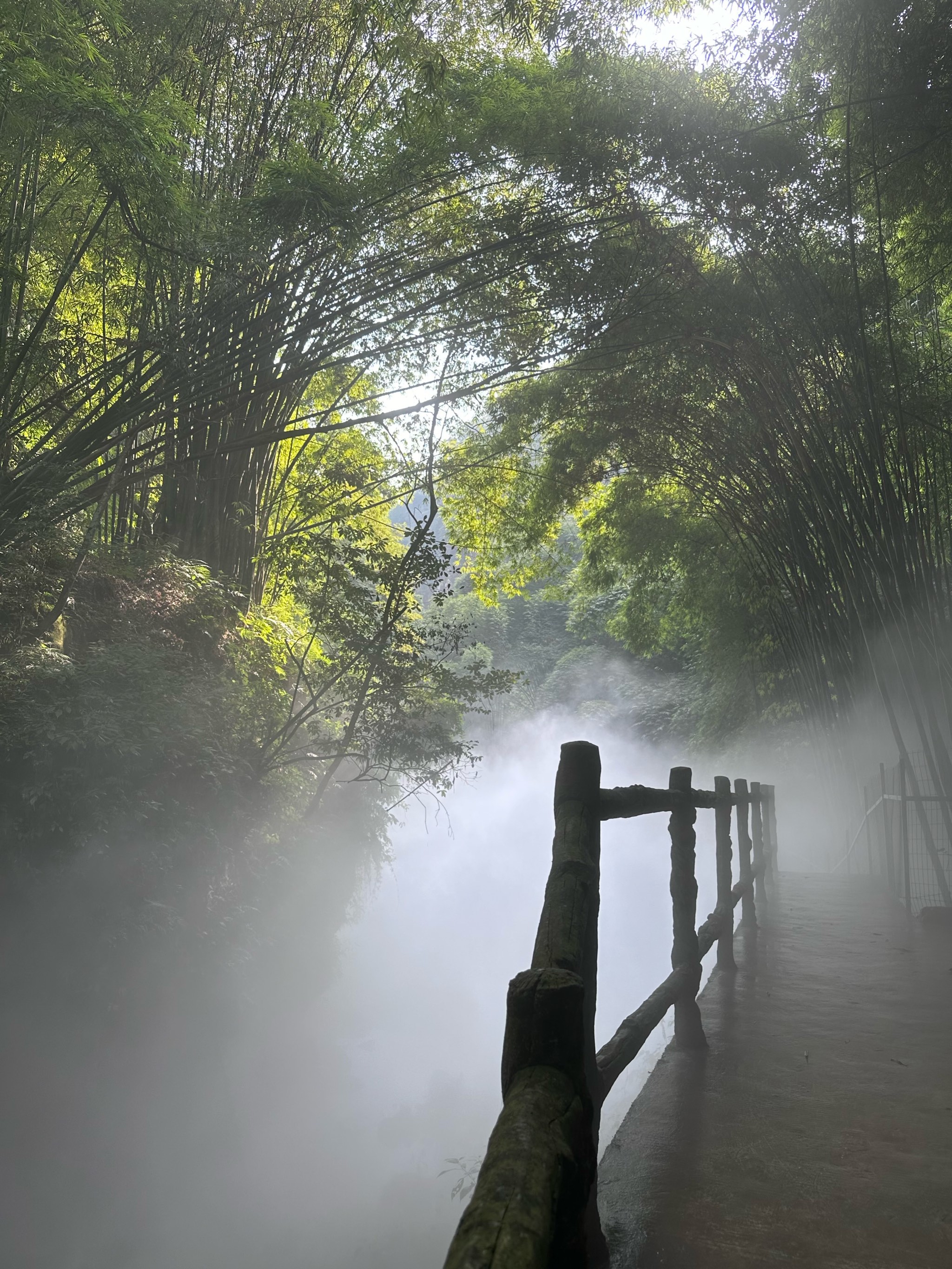 邛崃竹海风景区图片图片