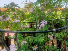 -曹州百花园