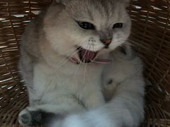 -小时光咖啡馆(北锣鼓巷店)