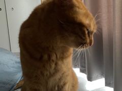 -东财大盘鸡(黑石礁店)