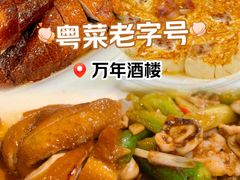 -万年酒楼(越秀南路店)