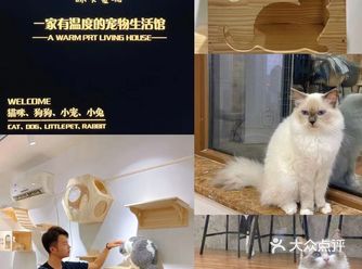 西安探店|一家有温度的宠物生活馆
