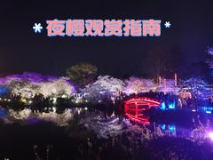-东湖磨山景区樱花园-停车场