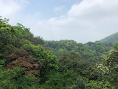 -广州市帽峰山景区