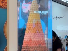 -PAUL LAFAYET 法式甜品(港汇广场店)