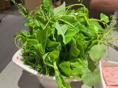 -海底捞火锅(太阳宫凯德mall店)