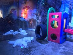 -芜湖新华联大白鲸海洋公园