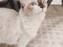 -seeu coffee(江滩店)