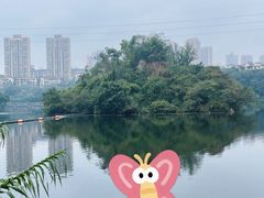 -重庆彩云湖湿地公园