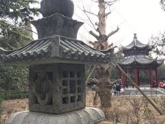 景点-洛阳白马寺