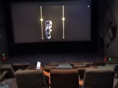 -金逸影城(大悦城IMAX激光店)
