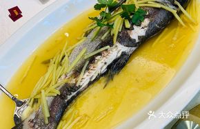 Steamed Mountain Stream Fish with Ginger Oil