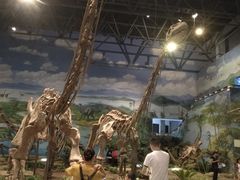 -自贡恐龙博物馆