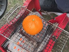 -钟山体育运动公园