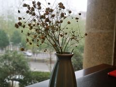 -粤域茶餐厅