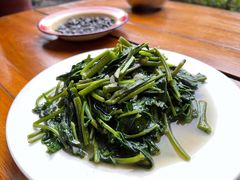 地瓜叶-翕庐小苑