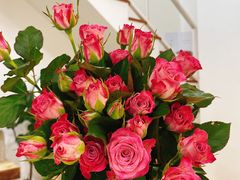 -森野花艺培训·企业团建活动沙龙