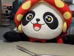 -海底捞火锅(华南摩尔店)