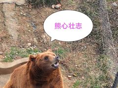 -无锡动物园·太湖欢乐园