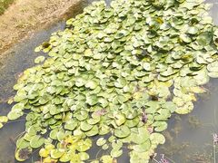 -状元人家·公园别墅衡东土菜(溪悦荟店)