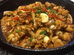 -红果树(江光店)