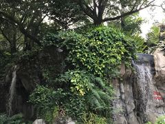 -九龙公园