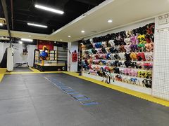 -成泰格斗(环球商业广场店)