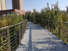 -长白岛森林公园