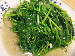 清炒时蔬芍尖-神仙钵湘香土菜馆(光华路店)