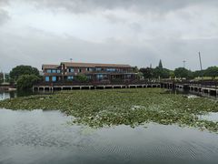 -新木器时代餐厅(太湖新天地店)