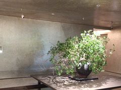 -隐溪茶馆(静安寺店)