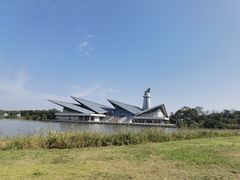 -盐城丹顶鹤湿地生态旅游区