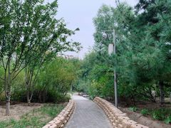 -大兴滨河森林公园