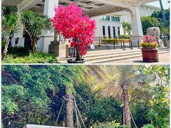 -海豚湾扬帆出海帆船游艇