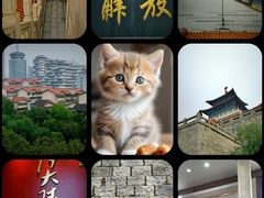 -解放阁