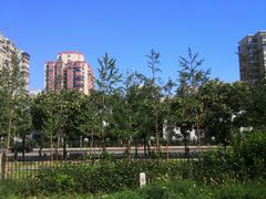 -杨庄(地铁站)