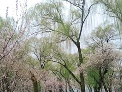 -颐和园
