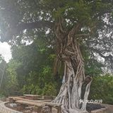 经过李公祠。。。