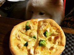 iphone_upload_pic-百好乐宠物友好餐厅(朝外大街店)