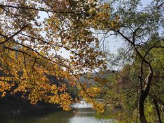 -青龙山国家森林公园