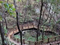 -大岭沟猕猴桃谷风景区