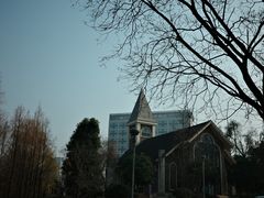 -成都保利公园皇冠假日酒店(熊猫基地店)