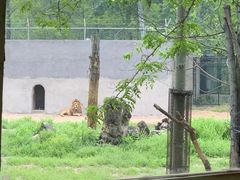 -秦皇岛野生动物园